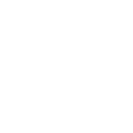Massive Change Network